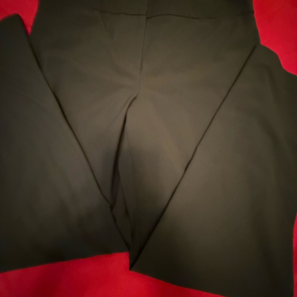 The Limited Women’s green Pants